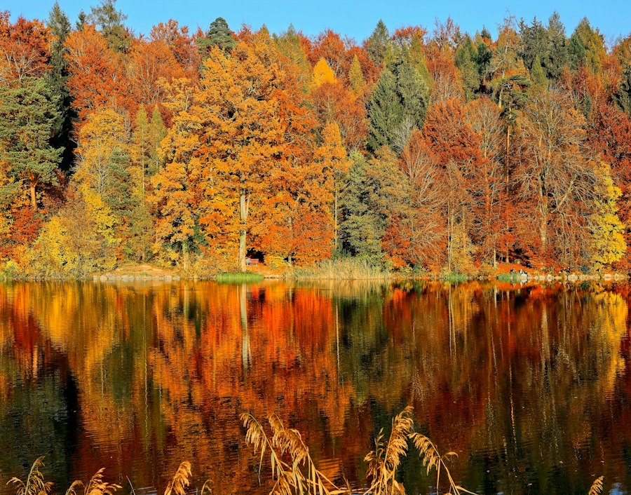 Fall foliage in Connecticut